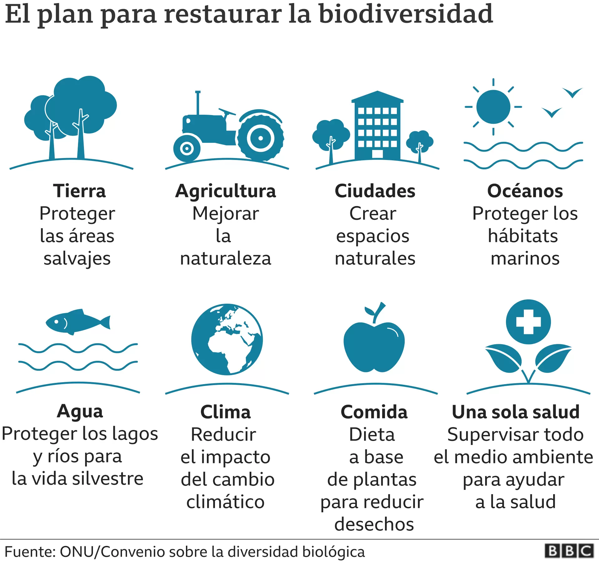Como restaurar la biodiversidad