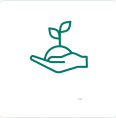 Planting