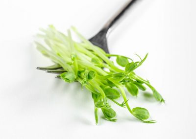 Natuhuerto Detalle Tenedor con microgreens de guisante