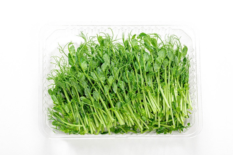 Natuhuerto_Microgreens de guisante Natuhuerto Microgreens de guisante