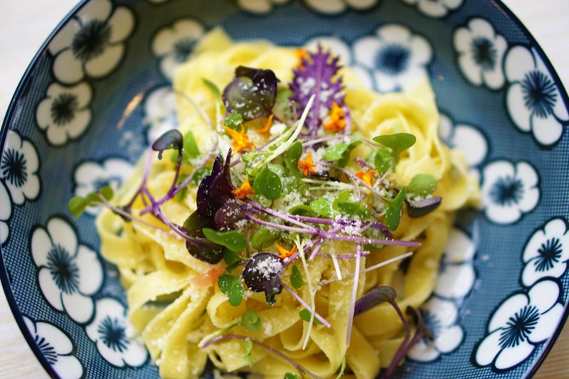 Cómo comer y cocinar con microgreens y brotes: Recetas e Ideas para mejorar tus platos