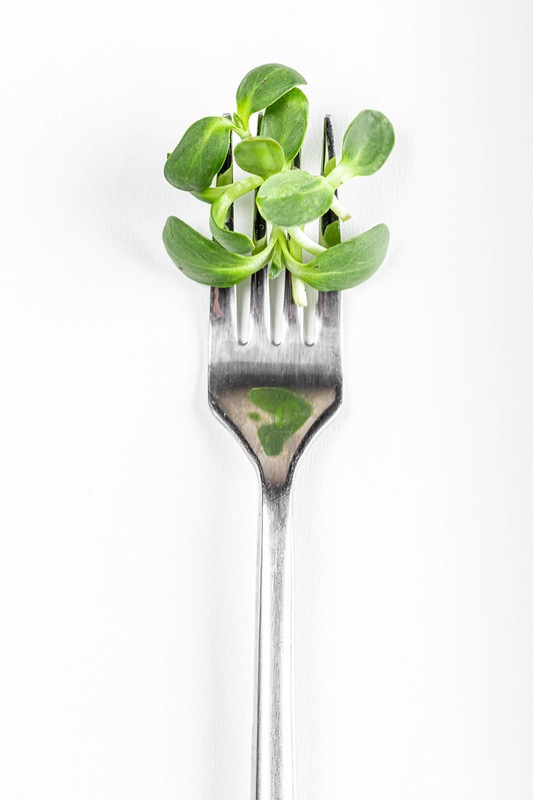 Natuhuerto Tenedor con microgreens de guisante