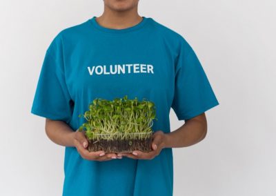Natuhuerto Voluntario con bandeja de microgreens girasol