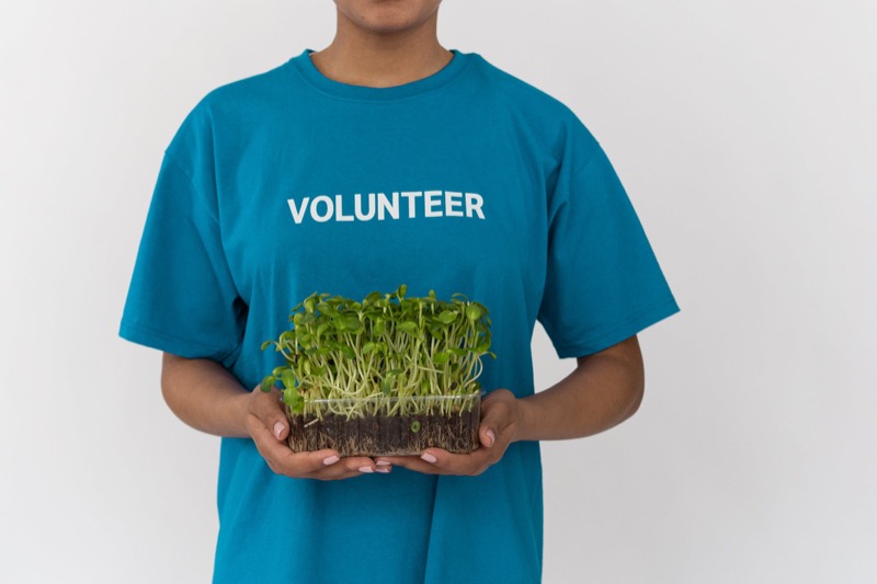 Natuhuerto Voluntario con bandeja de microgreens girasol