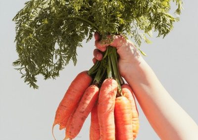 Natuhuerto Zanahorias en la mano