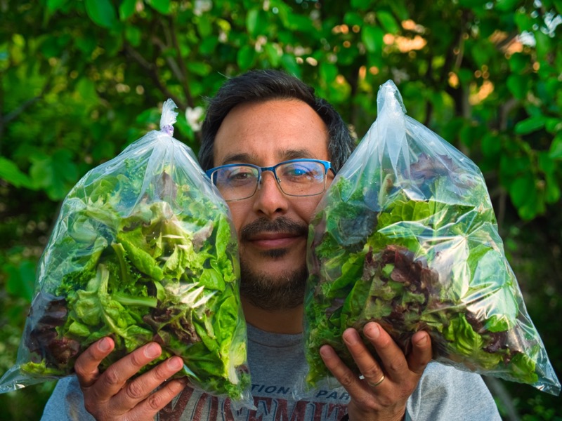 Agricultor con bolsas de ensalada listas