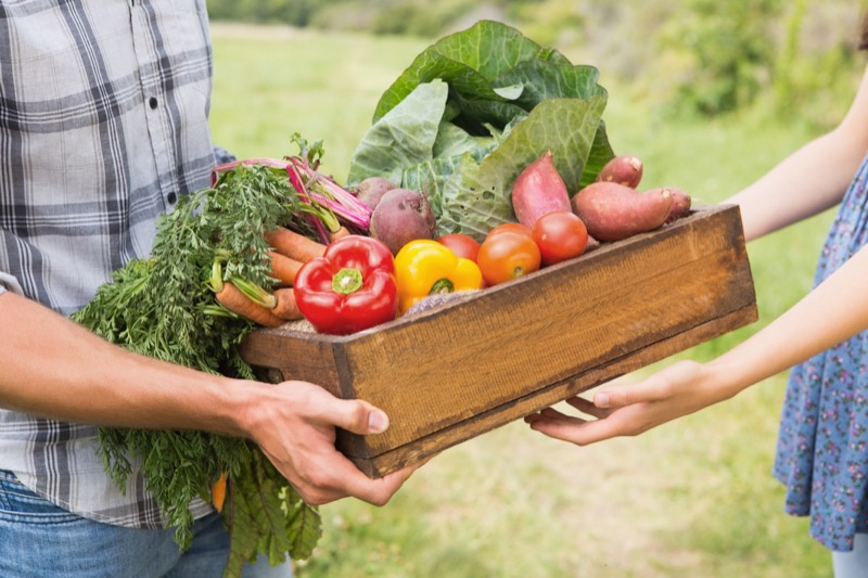 Entregando una caja de verduras Natuhuerto