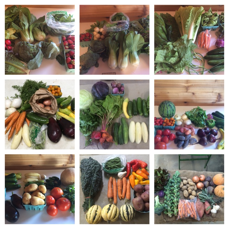 Entregando una caja de verduras Natuhuerto