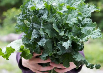Natuhuerto Kale en la mano